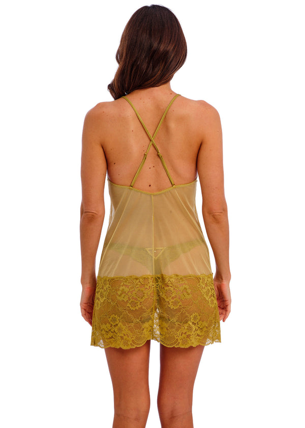 Wacoal - Natsuki Lace Chemise | Antique Gold