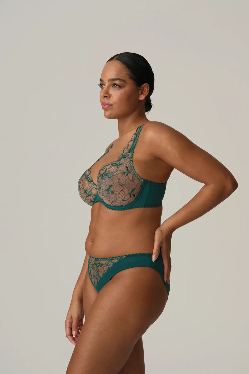 Prima Donna - Springdale Rio Brief | Jasper Green