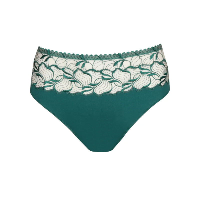 Prima Donna - Springdale Full Brief | Jasper Green