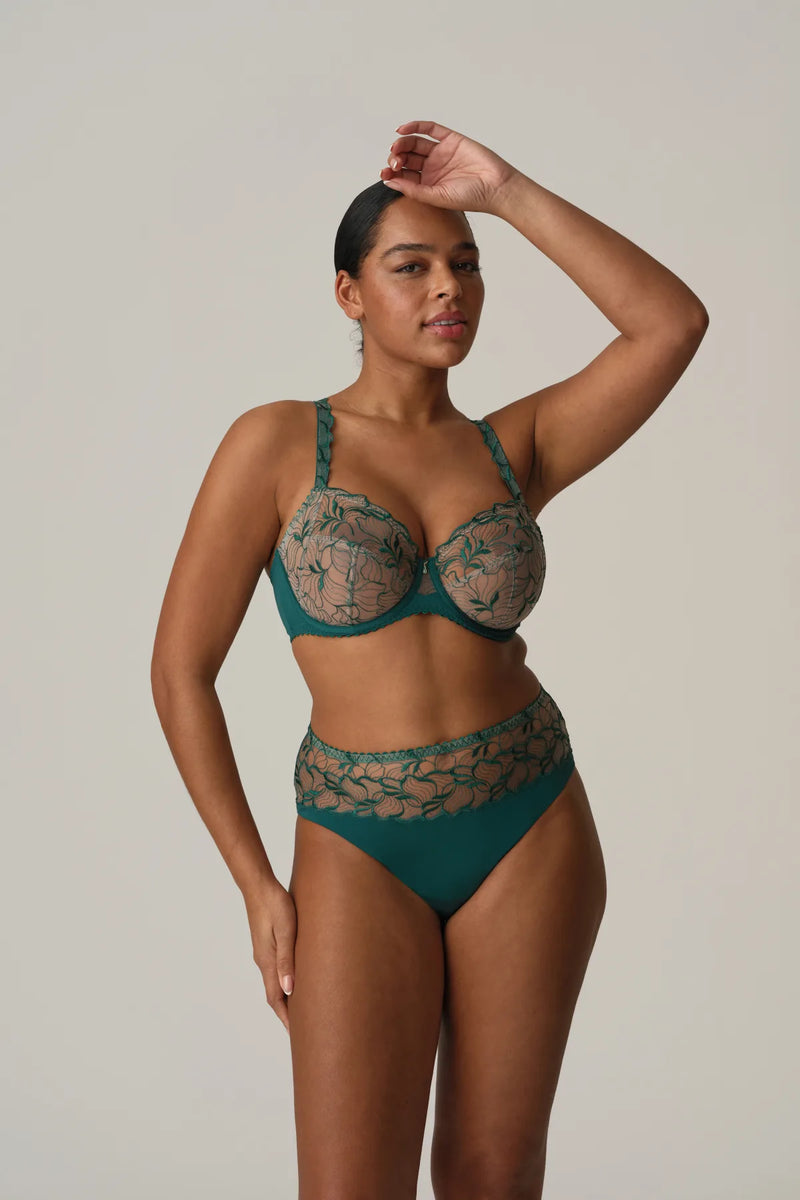 Prima Donna - Springdale Full Brief | Jasper Green