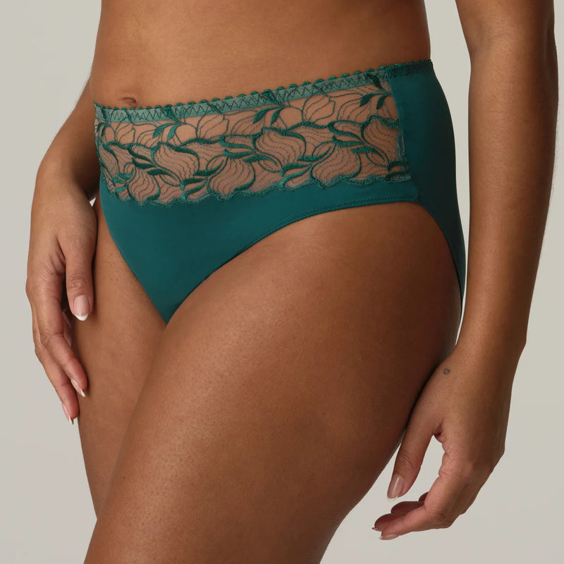 Prima Donna - Springdale Full Brief | Jasper Green