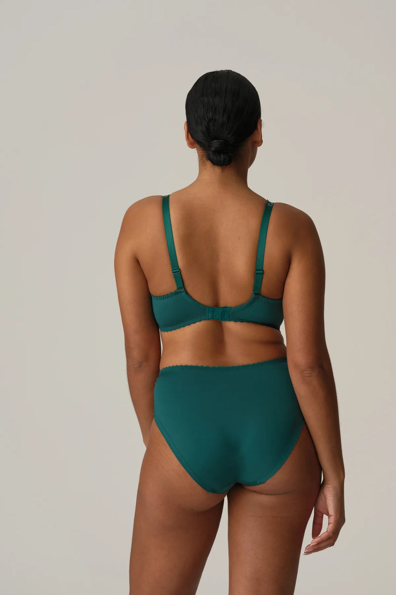 Prima Donna - Springdale Full Brief | Jasper Green